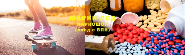 индика Пестово