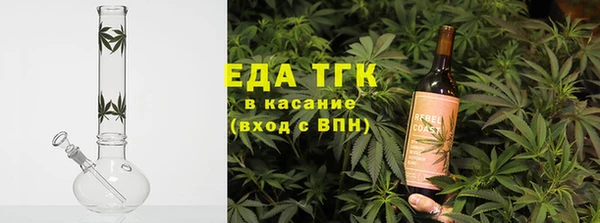 индика Пестово
