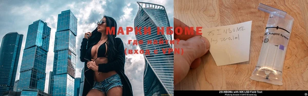 индика Пестово