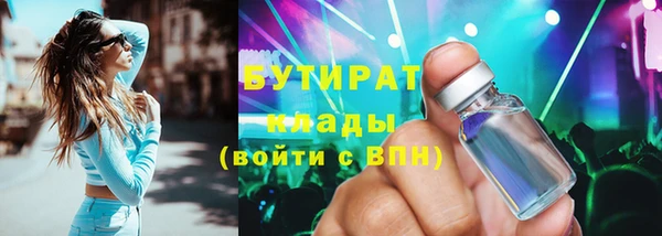индика Пестово
