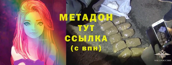индика Пестово