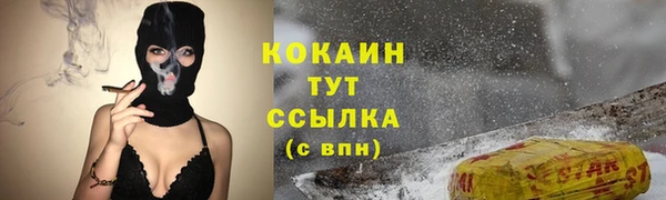 индика Пестово