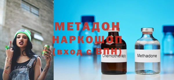 индика Пестово