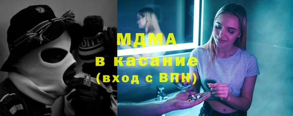 индика Пестово