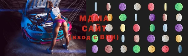 индика Пестово