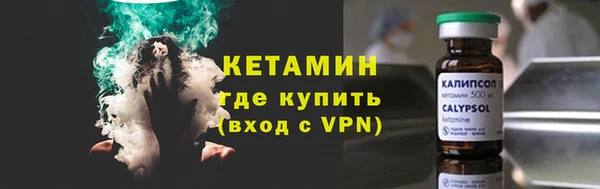 индика Пестово