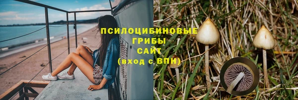 индика Пестово