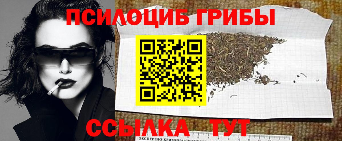 Галлюциногенные грибы прущие грибы Бердск