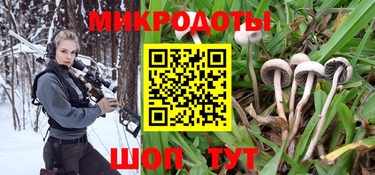 Бердск  купить наркотик  Вход с VPN  Галлюциногенные грибы Psilocybine cubensis 